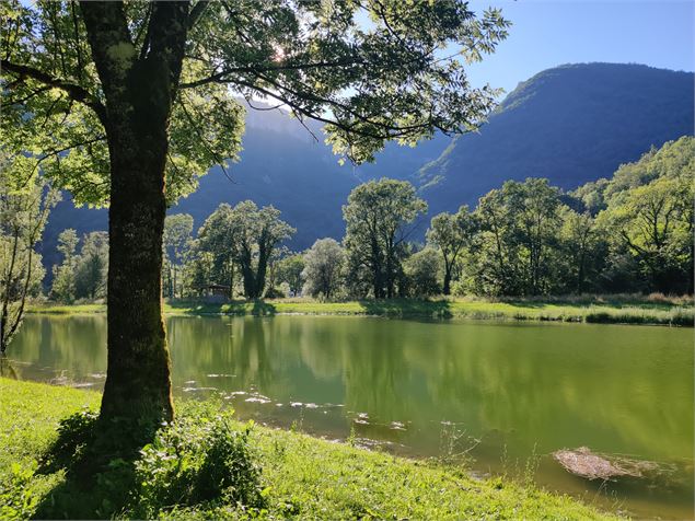 Plan d'eau de Chaley et sentier de l'eau - Sabrina Megani