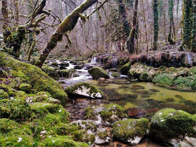 sentier de l'eau en hiver à Chaley - Sabrina Megani