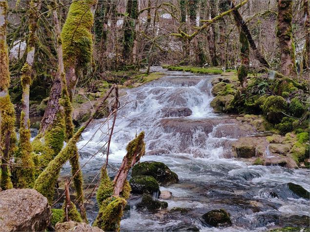 sentier de l'eau en hiver à Chaley - Sabrina Megani