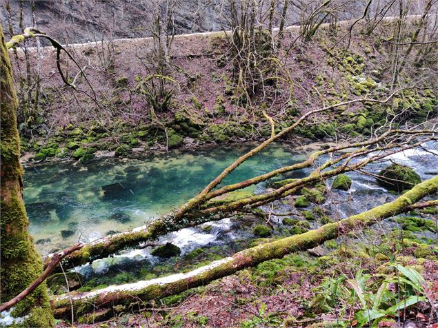 sentier de l'eau en hiver à Chaley - Sabrina Megani