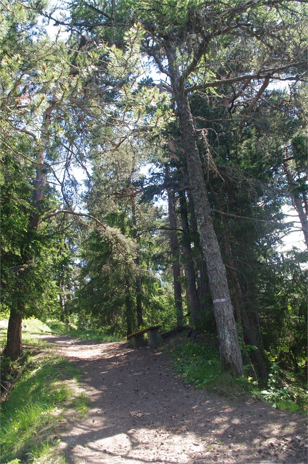 Sentier du Pré Benoit - Feissons sur Salins - Geoffrey Vabre