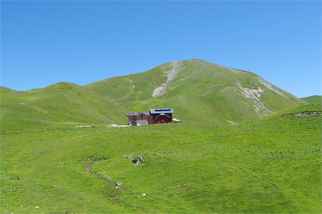 Sentier du Mont Jovet - Feissons sur Salins - Nadia Mousselard