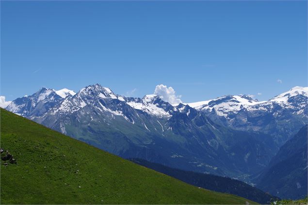 Sentier du Mont Jovet - Feissons sur Salins - Nadia Mousselard