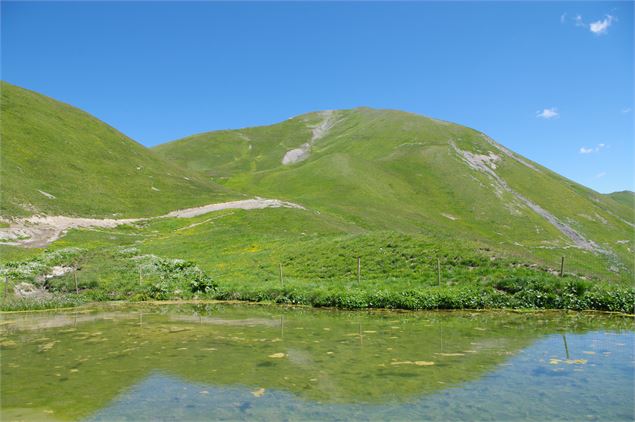 Sentier du Mont Jovet - Feissons sur Salins - Nadia Mousselard