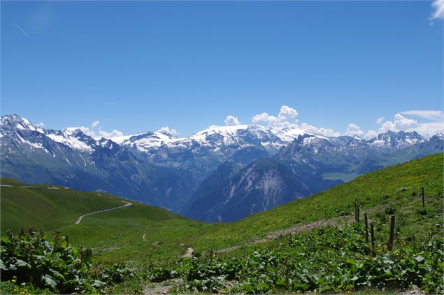 Sentier du Mont Jovet - Feissons sur Salins - Nadia Mousselard