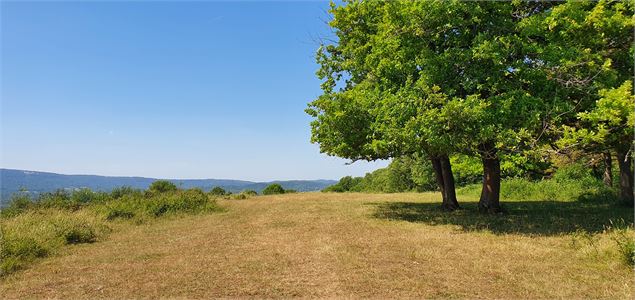 Sur le Mont - scalland