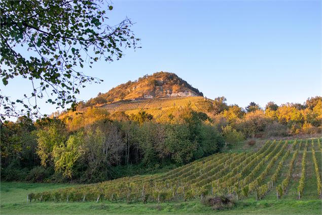 Village Montagnieu Bugey - Sabrina Megani