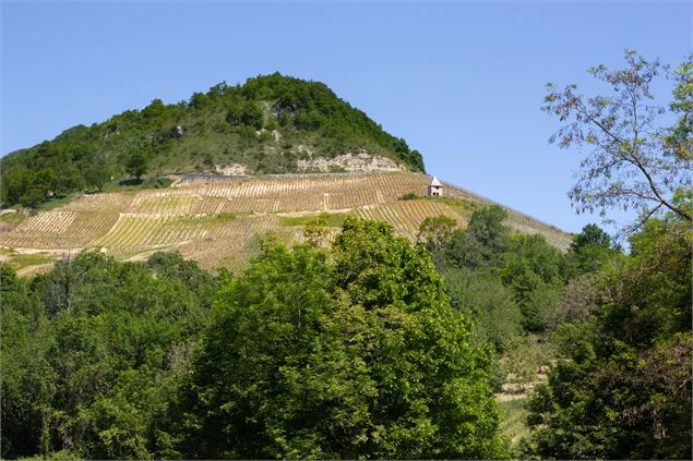 Village Montagnieu Bugey - Sabrina Megani