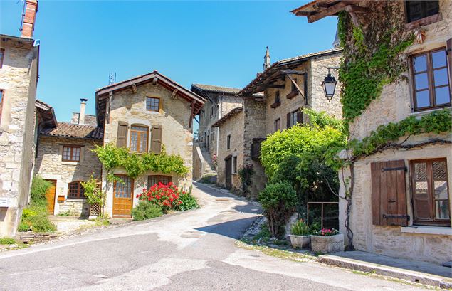 maisons à Saint Sorlin en Bugey - M.Périno