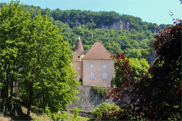 château de St Sorlin en Bugey - M.Périno