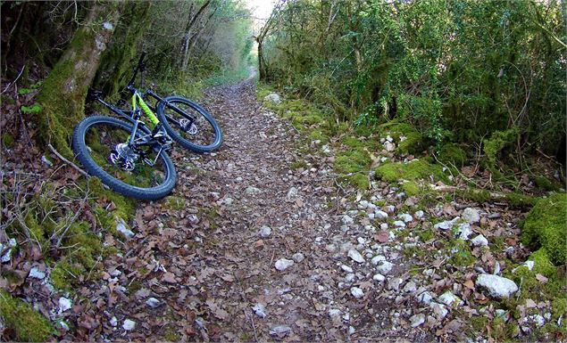 Base VTT Espace Revermont - circuit 4 rouge - Revermont bike