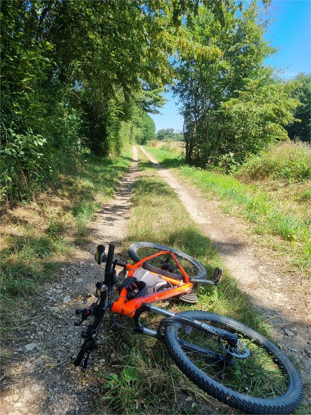 VTT-VTC en Bresse - scalland