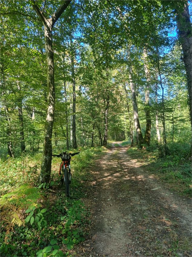 VTT-VTC en Bresse - scalland