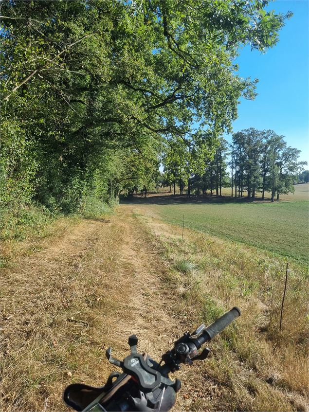 VTT-VTC en Bresse - scalland