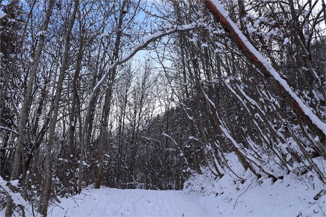 Sentier du haut - LBOUTIOT