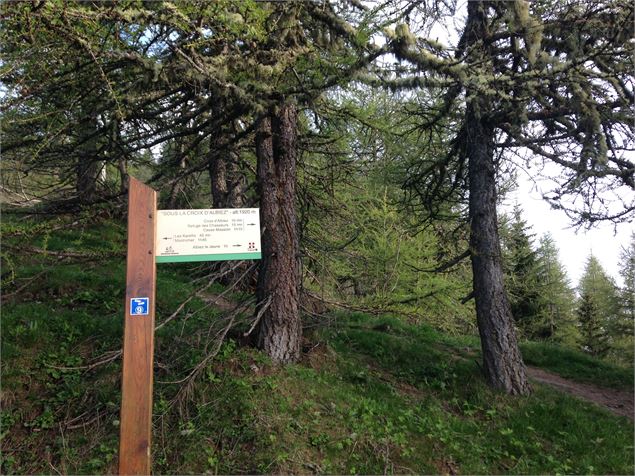 Panneau sentier de la Croix de Mont Tissot - Perrine Lavoipierre