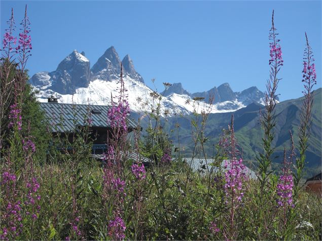 Vue depuis le Col du Mollard - Paul Bonnet