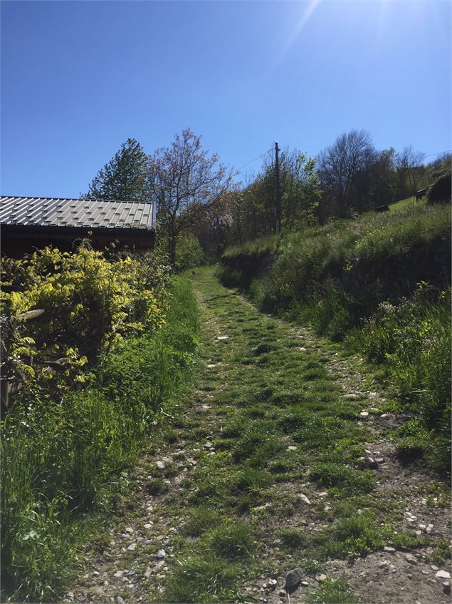 Chemin en balcon - OT Bourg Saint Maurice