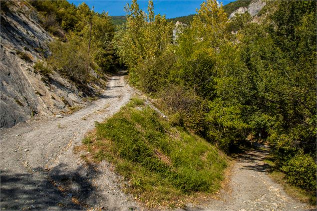 Premier virage du sentier - OT