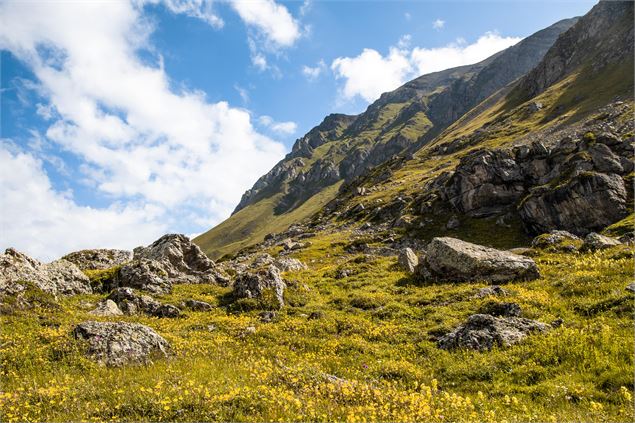 Col d'Emy - Alpages - L.Boutiot