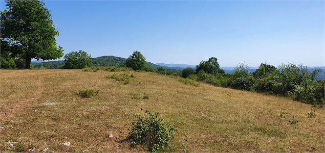 Donjon de Buenc - s calland