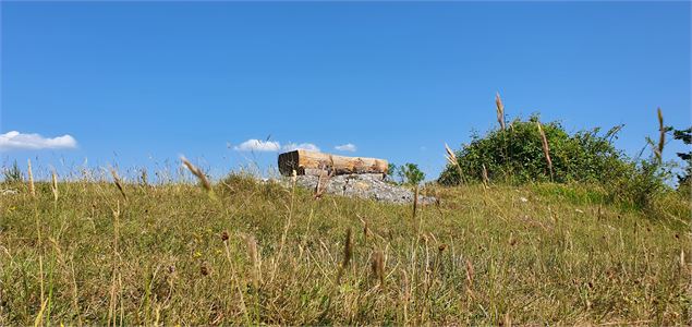 Donjon de Buenc - s calland