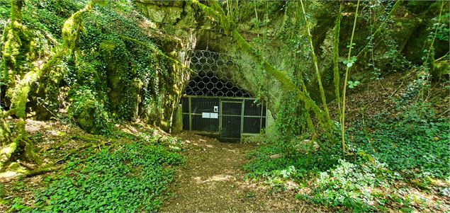 Réserve Naturelle de la grotte de  Hautecourt_Hautecourt-Romanèche - GBA