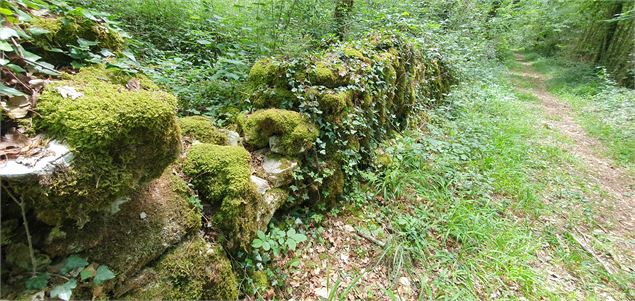 Réserve Naturelle de la grotte de  Hautecourt_Hautecourt-Romanèche - GBA