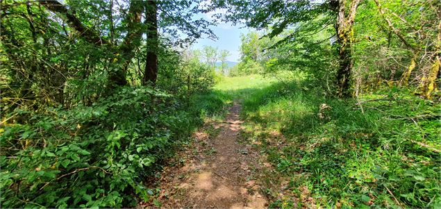 Réserve Naturelle de la grotte de  Hautecourt_Hautecourt-Romanèche - GBA