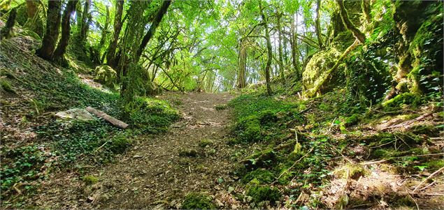 Réserve Naturelle de la grotte de  Hautecourt_Hautecourt-Romanèche - GBA