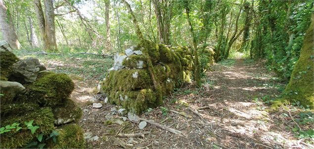 Réserve Naturelle de la grotte de  Hautecourt_Hautecourt-Romanèche - GBA