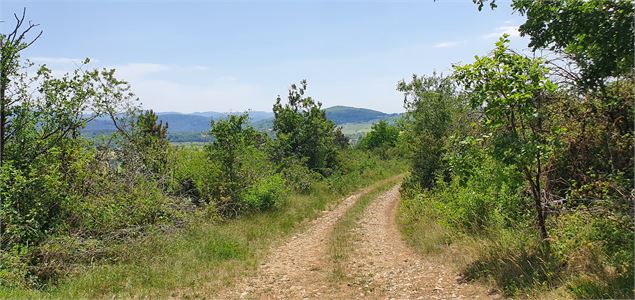 Réserve Naturelle de la grotte de  Hautecourt_Hautecourt-Romanèche - GBA