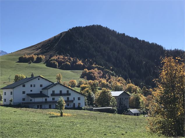 Forêt du Rival derrière le centre de vacances la Maison Blanche à Albiez - OT Albiez