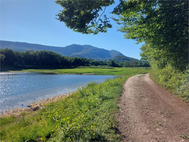 Circuit VTT 5 : Lac d'Armaille - M.Ballet