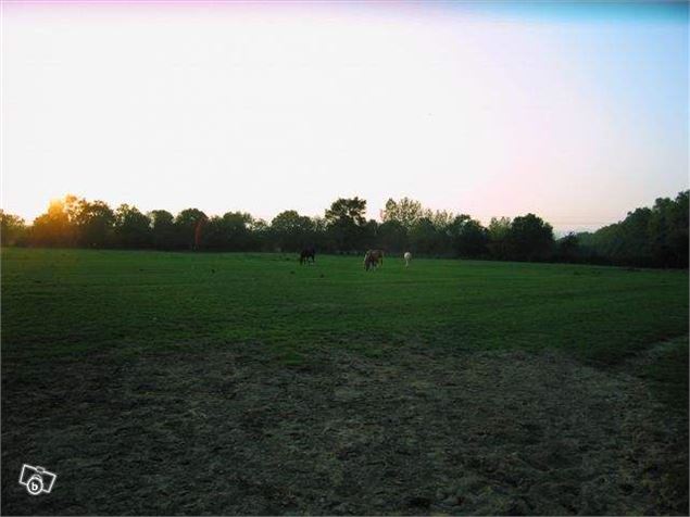 Haras de Challes - Haras de Challes