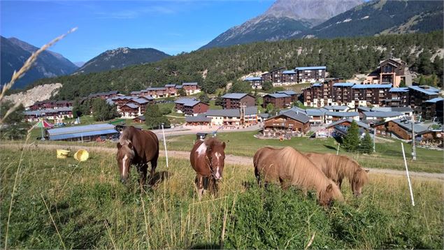 Balades à cheval ou à ploney, stages équestres au ranch de La Norma - OT La Norma