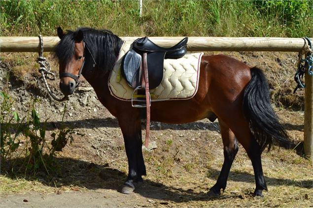 Balades à cheval ou à ploney, stages équestres au ranch de La Norma - OT La Norma