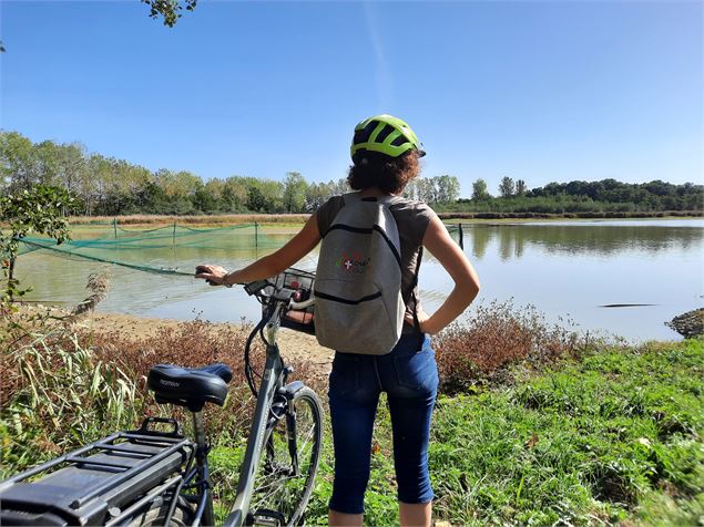 Vélo au bord des étangs - Parc des Oiseaux