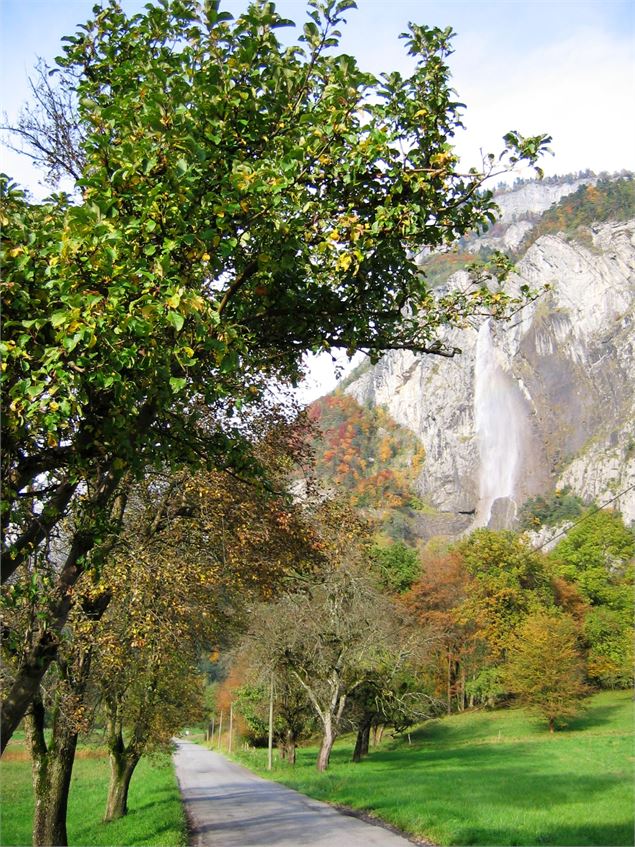 cascade d'Arpenaz - Sallanches Tourisme