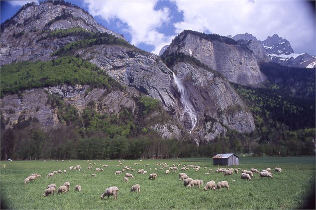 cascade d'Arpenaz - Sallanches Tourisme