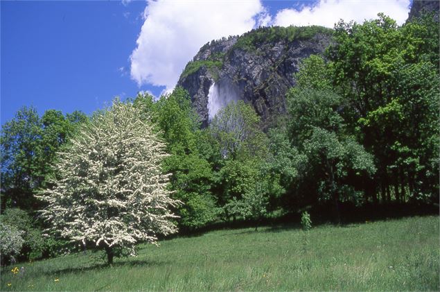 cascade d'Arpenaz - Sallanches Tourisme