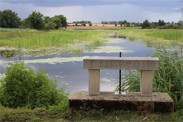 Thou de l'Etang Prêle - Dombes Tourisme