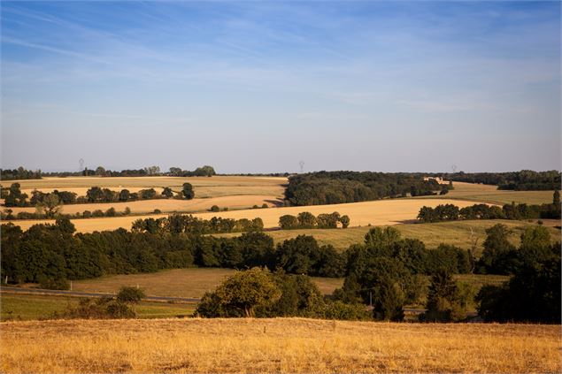 Vue depuis l'étang - Dombes Tourisme