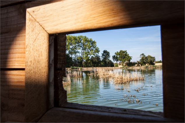 Vue depuis l'observatoire - Dombes Tourisme