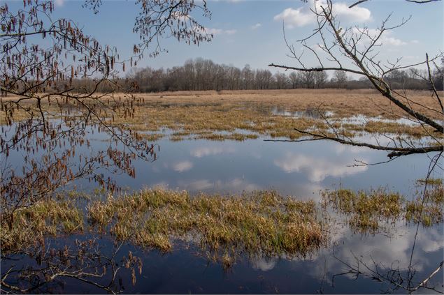 Etang Neuf - Dombes Tourisme