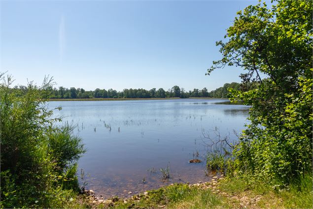 Etang Neuf - Dombes Tourisme