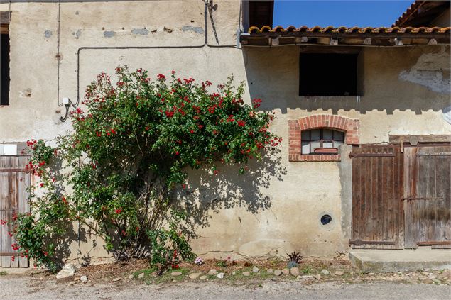 Ferme dombiste - Dombes Tourisme