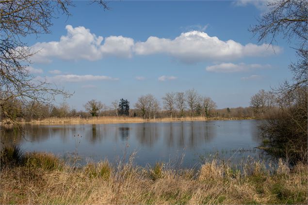 Etang Tuile - Dombes Tourisme