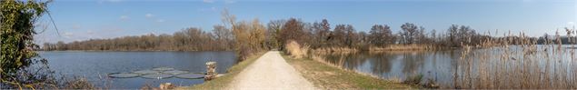 Etangs Petites Parquières et Neuf - Dombes Tourisme