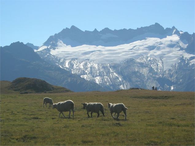 Sentier Balcon - K.Mandray